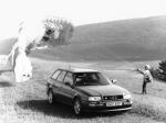 Audi S2 Avant 1993 года (WW)